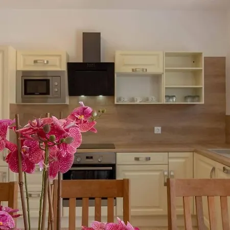 Villa Vila Dzana Vodnjan